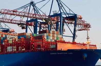上海出口货代公司负责处理国际贸易物流的重要环节，发挥着关键作用