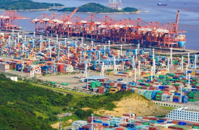 进口货代行业作为国际贸易的桥梁，正经历着前所未有的变革